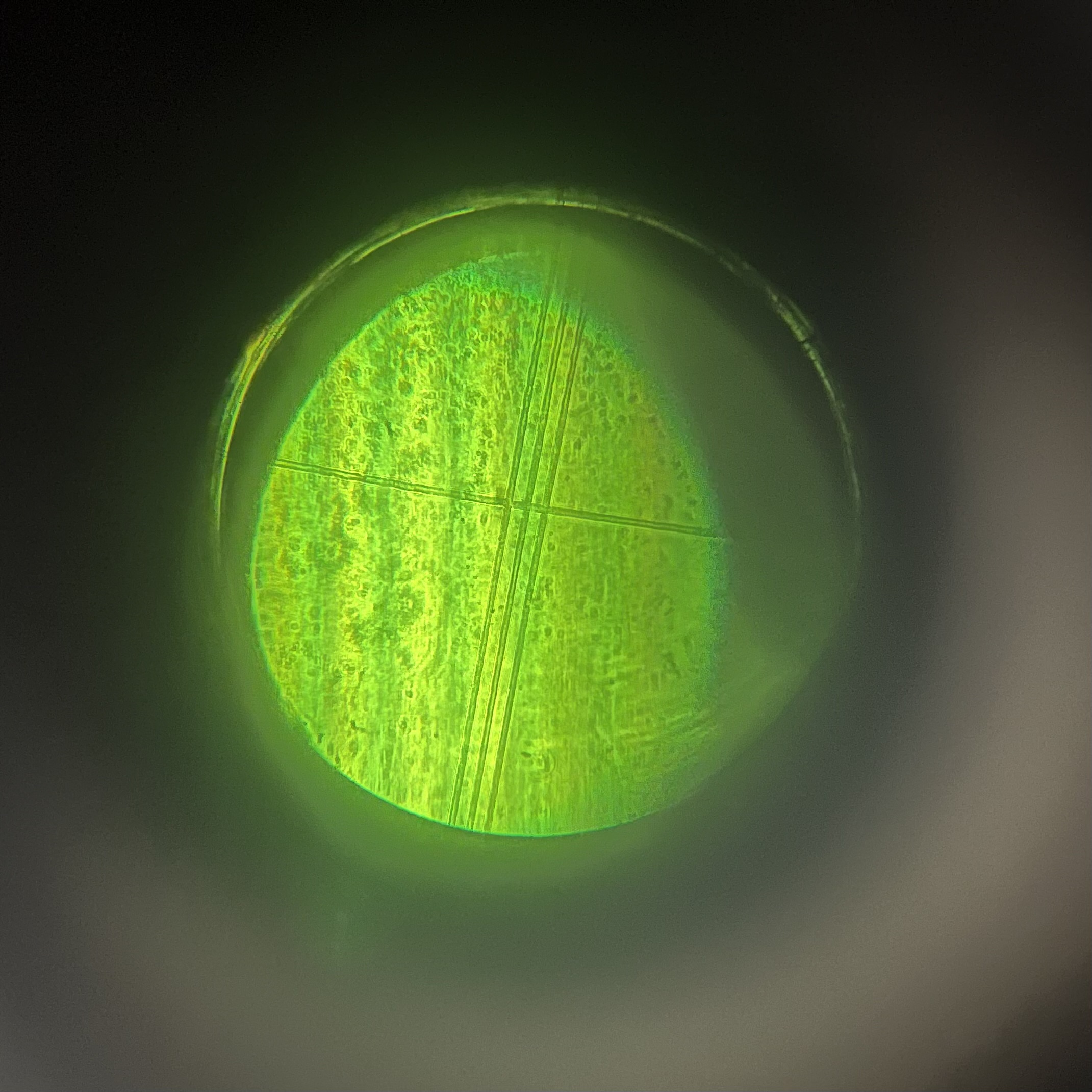 Filtered interference image